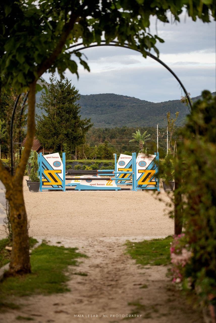Training Arena