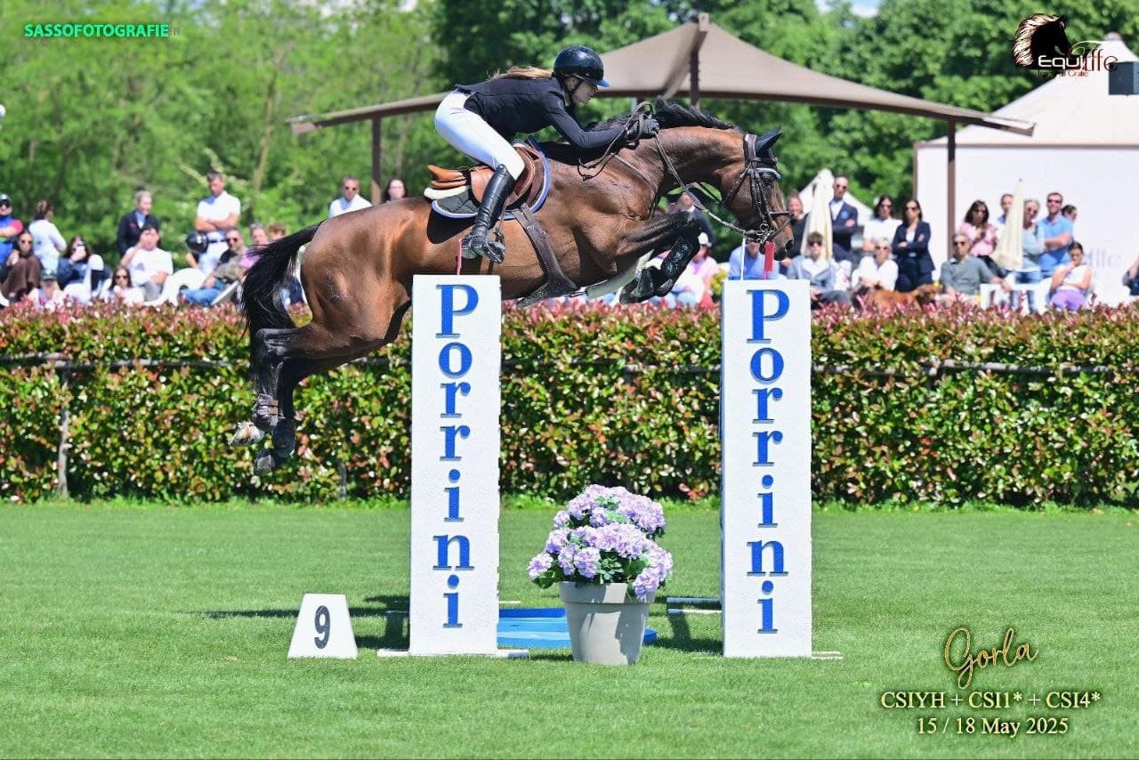International Competition