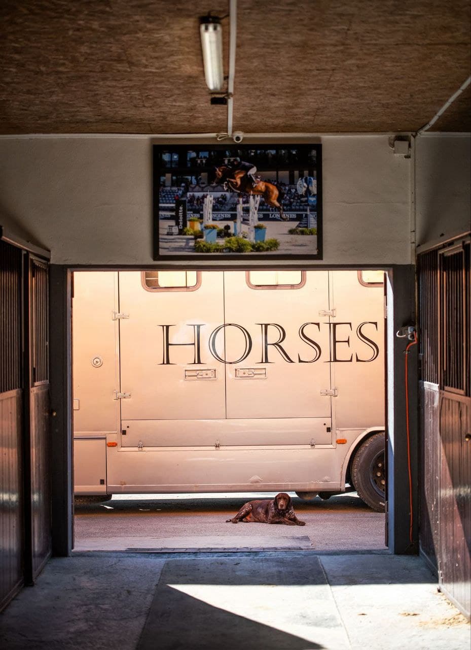 Modern Stables