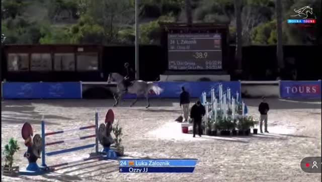 Verdi x Cornet Obolensky Stallion