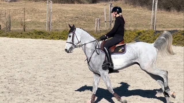 Our young star 6y by CHACCON BLUE x STAKKATOL ✨😍