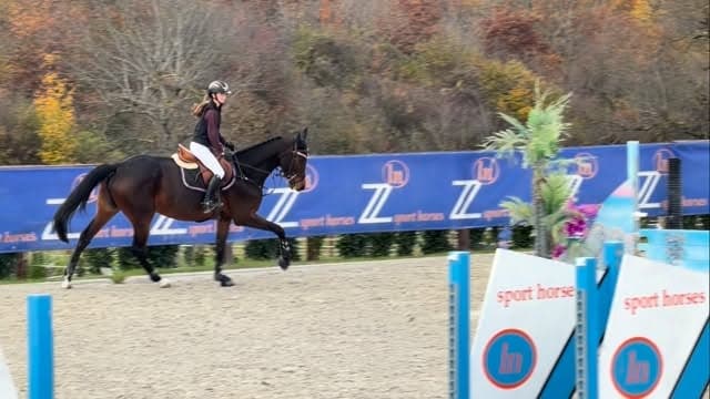 Cornet Obolensky Youngster